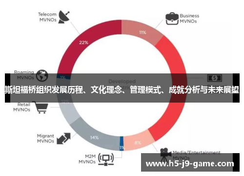 斯坦福桥组织发展历程、文化理念、管理模式、成就分析与未来展望