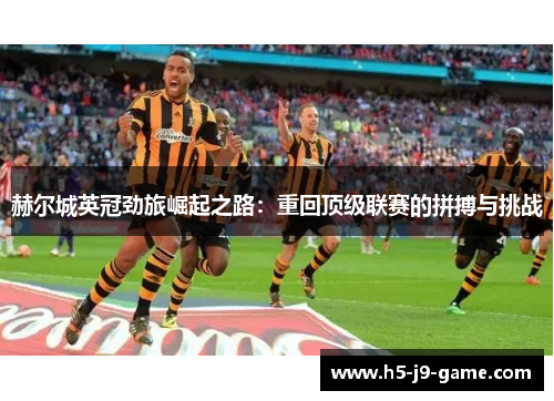 赫尔城英冠劲旅崛起之路：重回顶级联赛的拼搏与挑战