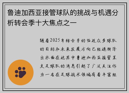 鲁迪加西亚接管球队的挑战与机遇分析转会季十大焦点之一